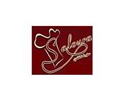 Logo of Saloura Alafandi
